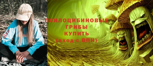 spice Мегион