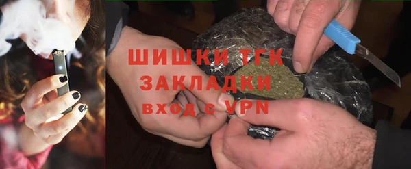 крисы Магас