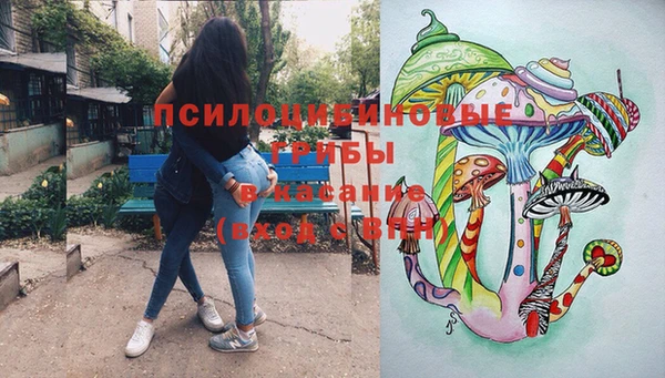 крисы Магас