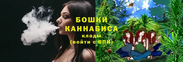 крисы Магас