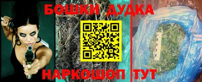 прущие крисы Обь