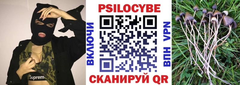 Псилоцибиновые грибы GOLDEN TEACHER Павловский Посад