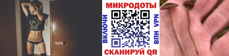 Псилоцибиновые грибы Psilocybe  Купить закладки  Павловский Посад 