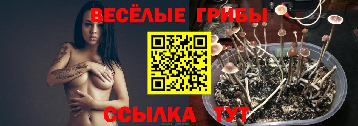 Галлюциногенные грибы MAGIC MUSHROOMS  Павловский Посад  Псилоцибиновые грибы ЛСД 